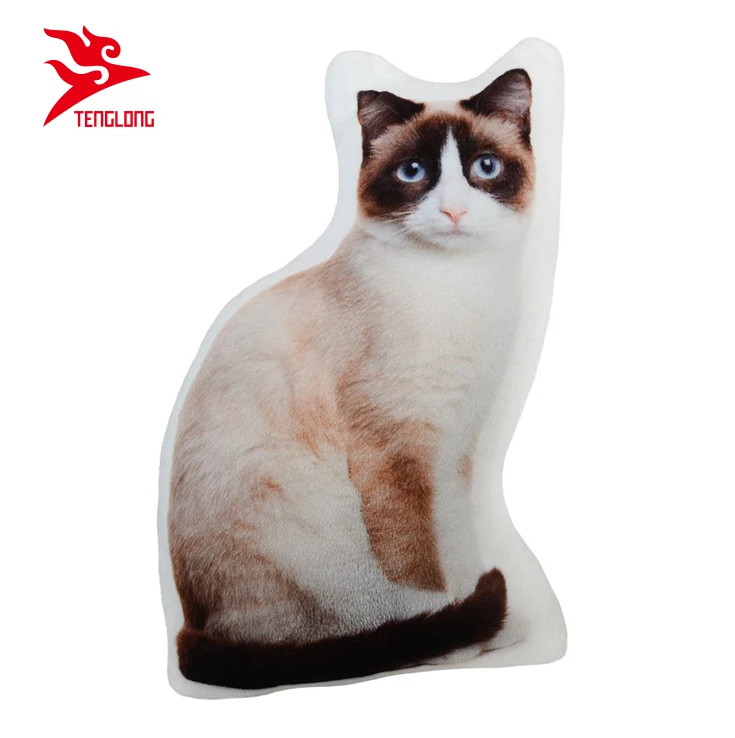 3d cat cushion