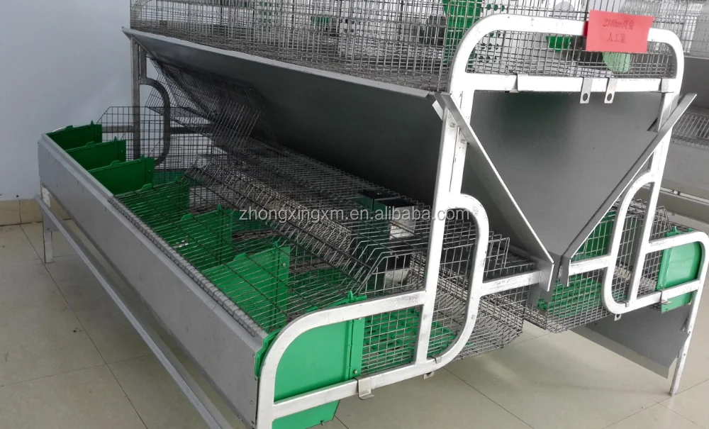 24 Position Mother And Baby Rabbit Cage For Rabbit Farming House Buy