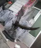 best selling large eagle of decor yard