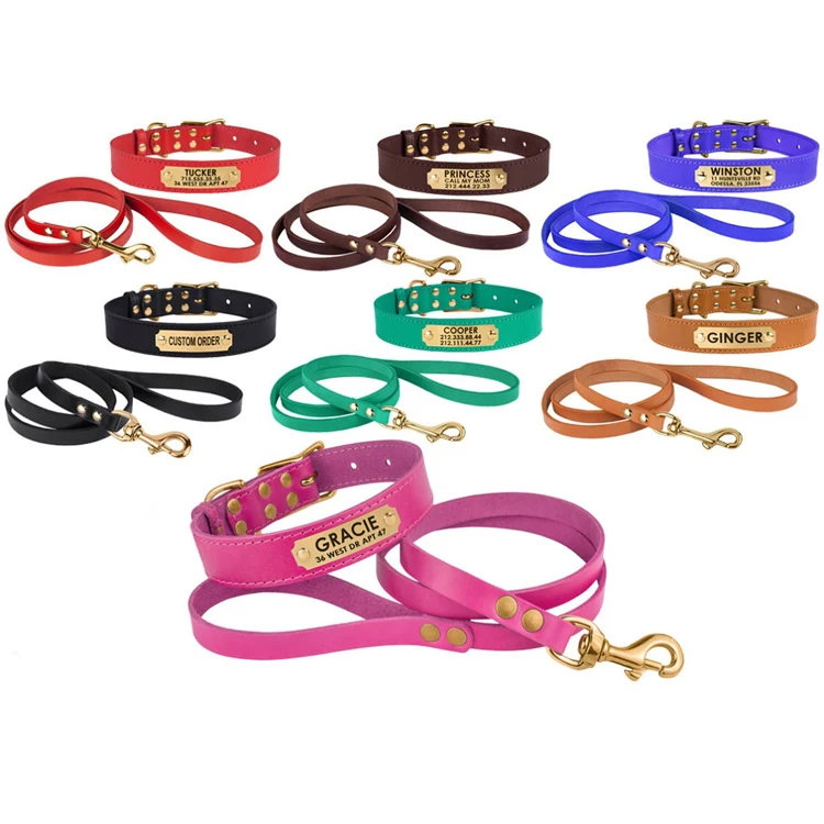 engraved pet collars