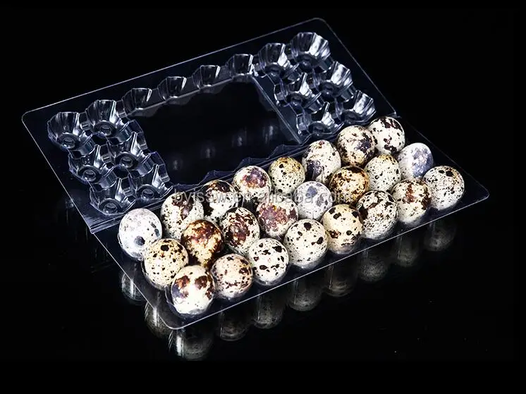 quail egg carton06.jpg
