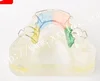 Orthodontic retainer model upper half teeth for demostration