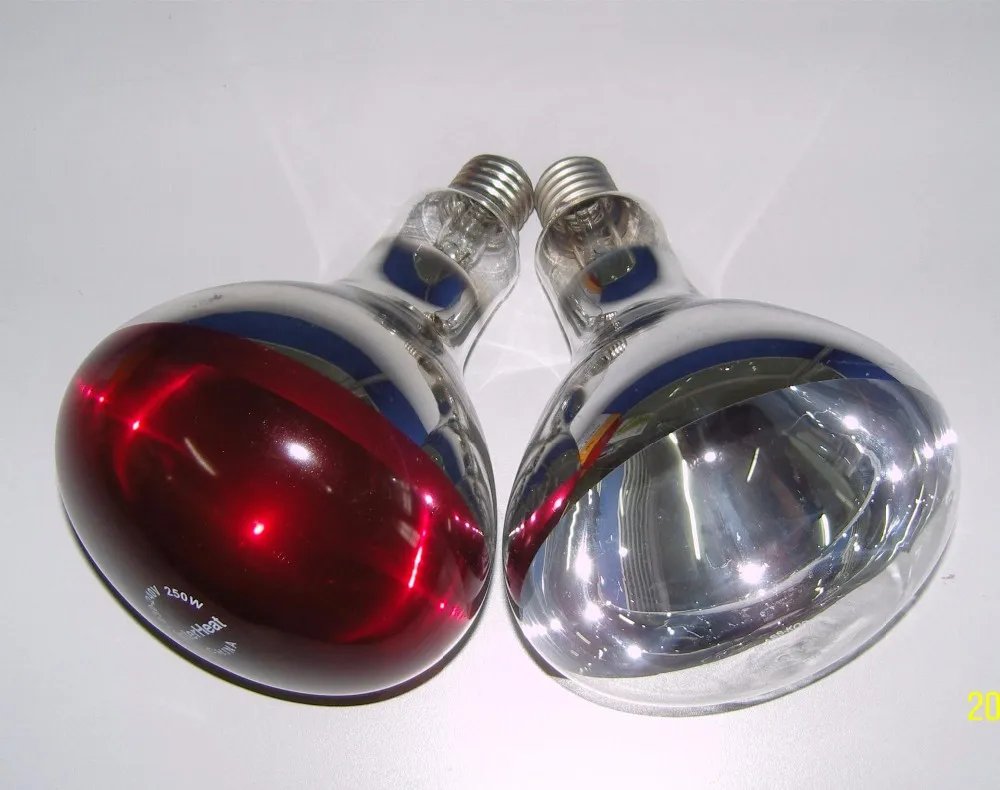 infrared heat lamp heat lamp for animals for sale