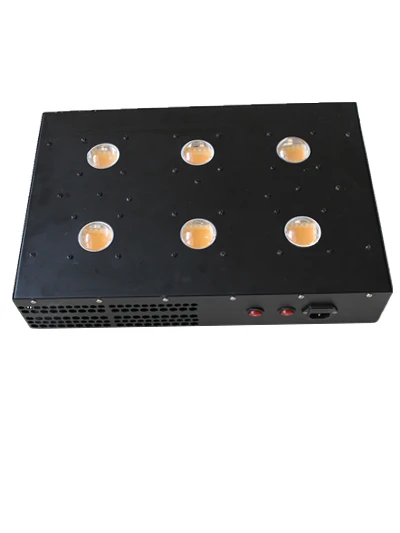 600w (4)
