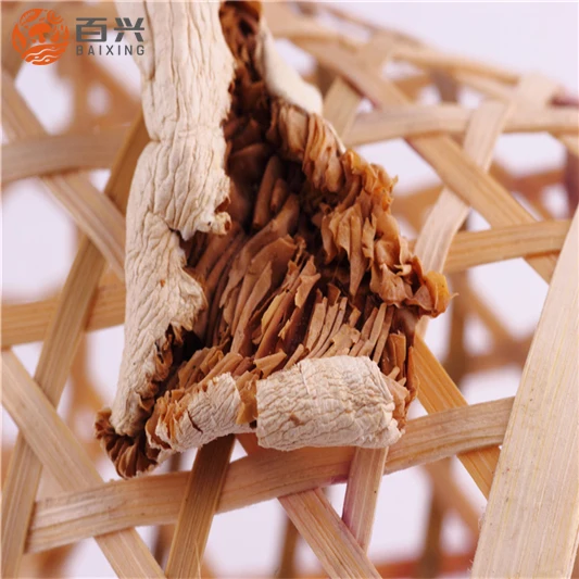 
High Quality Dried Wild Matsutake/ Pine Mushroom 