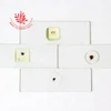 Natural science knowledge insect mouthparts observe glass microscope slides