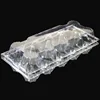 High Quality Free Samples Disposable Blister 10 Packs Plastic Egg Package Tray