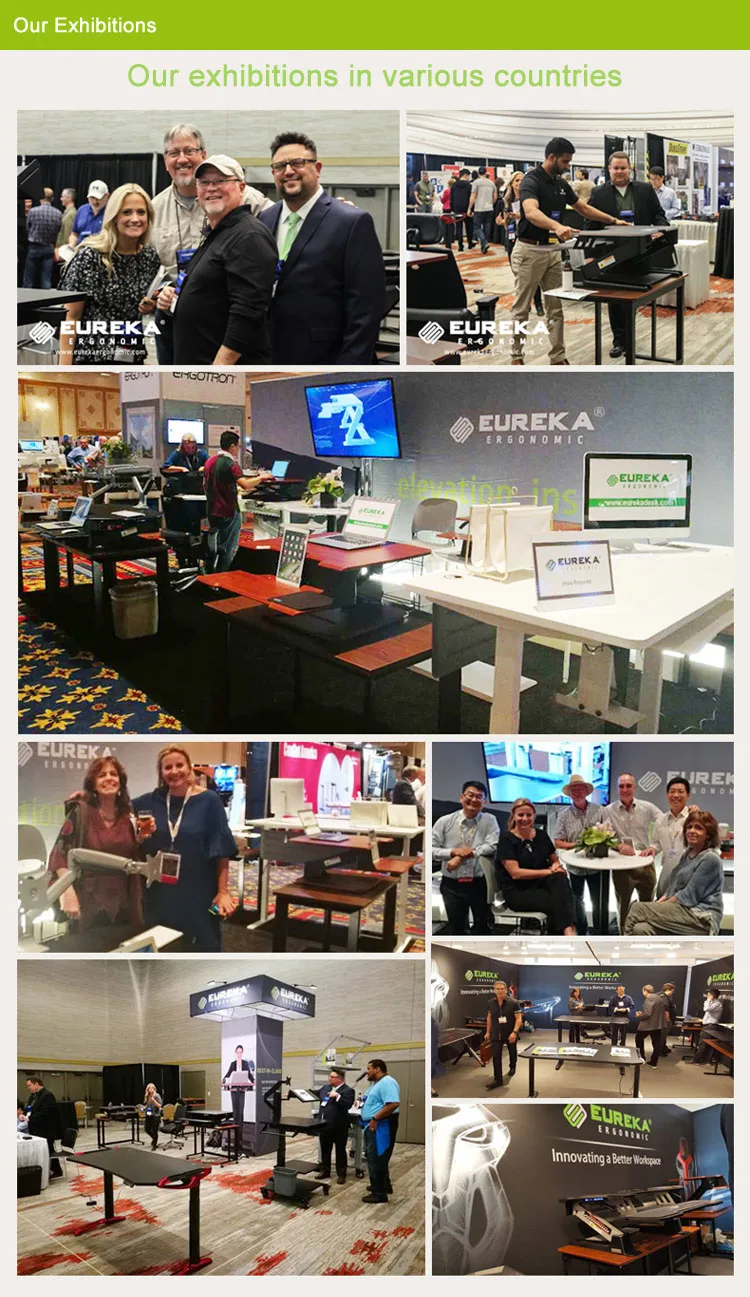 Our Exhibitions .jpg
