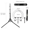 FalconEyes 512 Ring LED 3000-5600k Lighting Video Film Continuous Light W/Camera Bracket/ filter