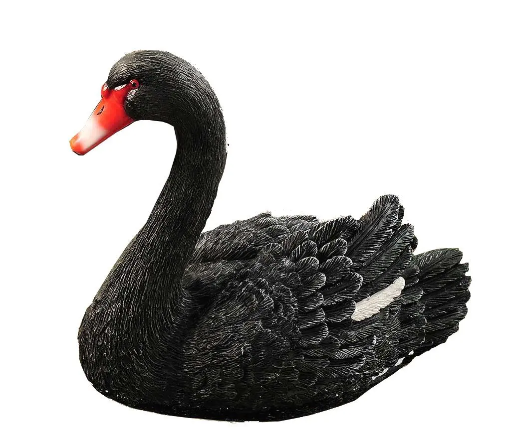 black swan floatie