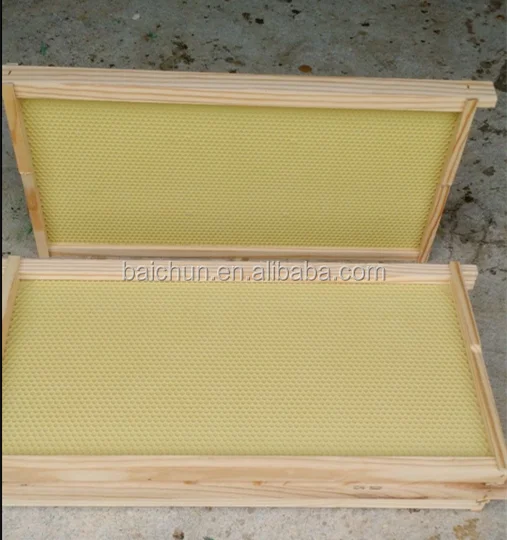 bee hive frame_.png