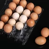 Egg shells packing 100 percent brand now PET clear plastic egg cartons