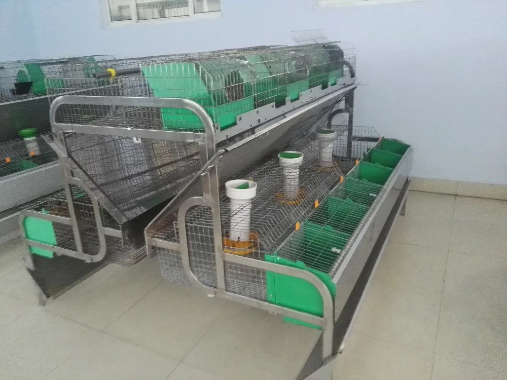 Industrial Rabbit Cage 2 Tier 24 Cells Integrated With 12 Breeding
