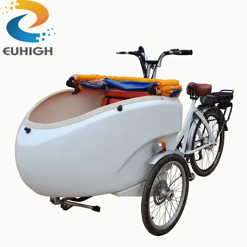 electric bike wagon