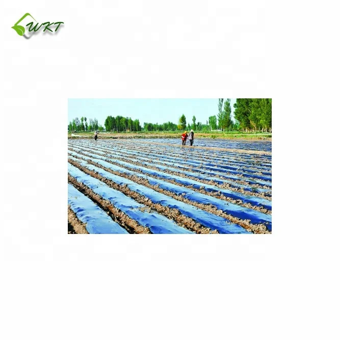 
black/silver/white/blue biodegradable plastic agricultural mulch film price 