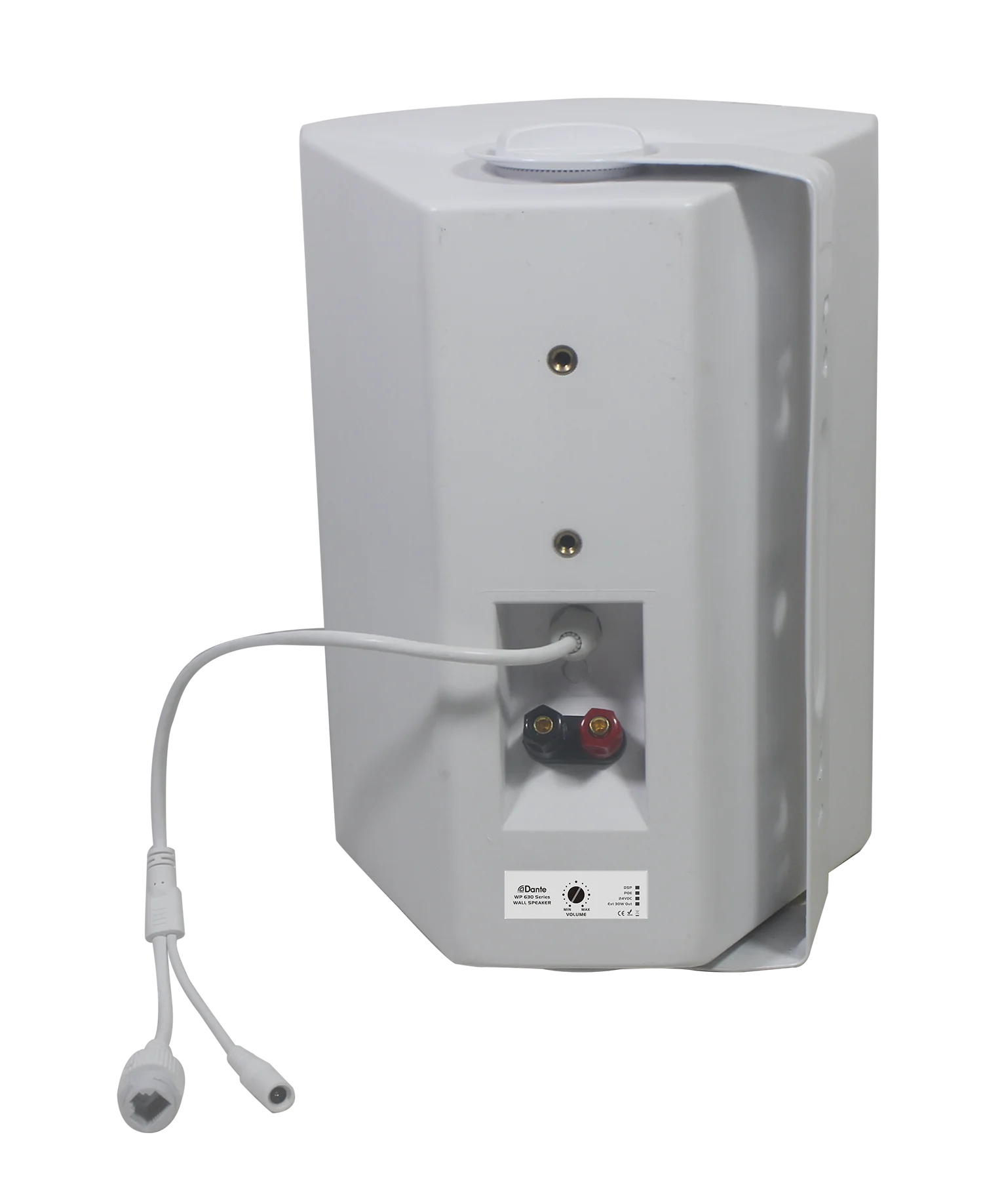 dante speakers