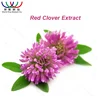 KOSHER HACCP Certified factory supply natural Estrogen-like action 10% isoflavones pure red clover extract