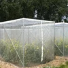 vegetable gardens insect control netting 40mesh insect nets for agriculture