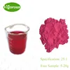 100% pure dried red beet root powder/red beet concentrate juice powder