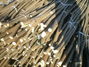 Decorative Dark Brown Willow Branches Will Sticks Decorative Dark Brown Willow Branches Will Sticks