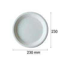 

Food Packaging Biodegradable Disposable Dinner Plate And Food Plate Biscuit Plate