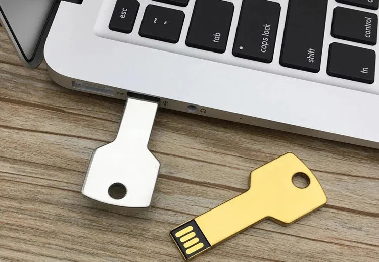2018 new hot business gift key shape customized logo 1gb 4gb 8gb 16gb 64gb memory USB flash pendrive - ANKUX.COM
