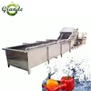 1000KG Ozone Vegetable Washer Fish Shrimp Cleaning Machine