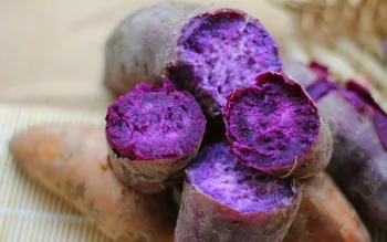 Chinese Fresh Purple Sweet Potato - Buy Sweet Potato,Japanese Sweet ...