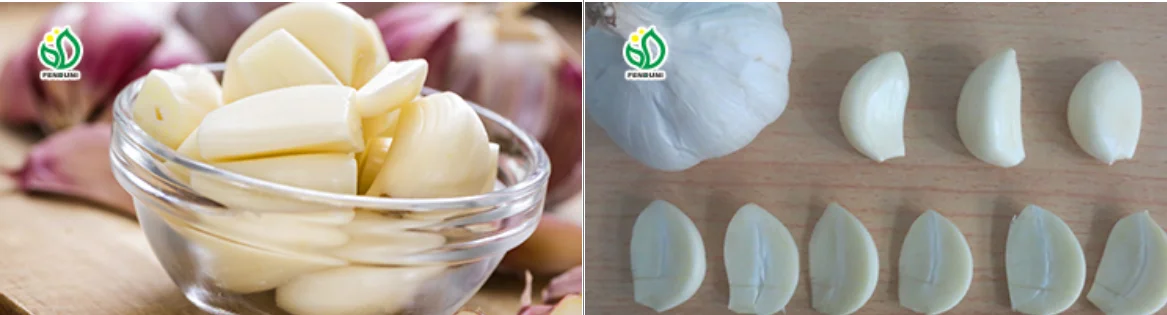 Chinesische Frisch Geschalte Knoblauch Vakuum Verpackt Geschalte Knoblauch Nelken Buy Geschalten Knoblauch Frischer Knoblauch Vakuumverpackt Geschalte Knoblauchzehen Product On Alibaba Com