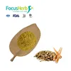 FocusHerb Burdock Root P.E 10% Arctiin