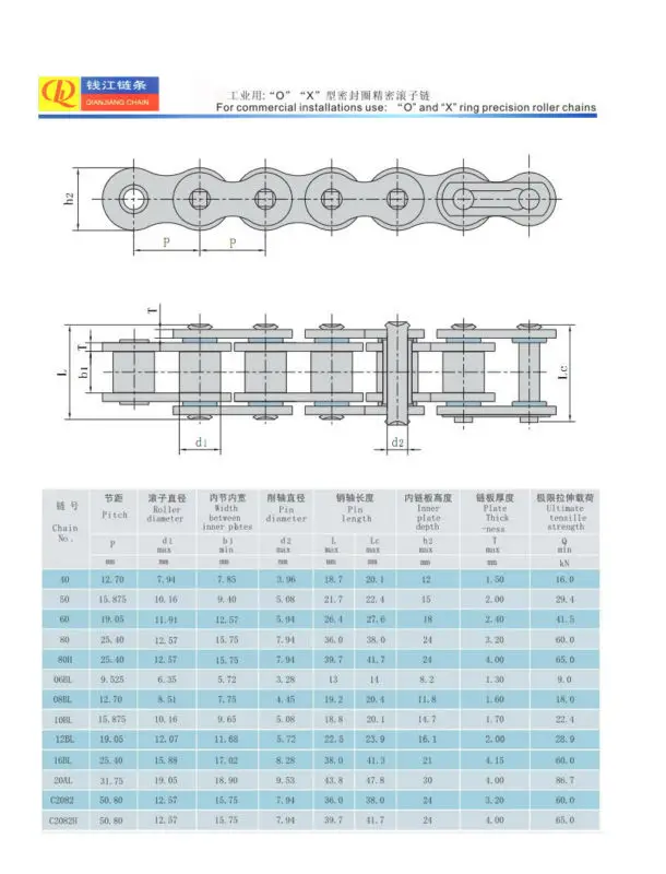 -O-ring & X-ring chains for industry field.jpg