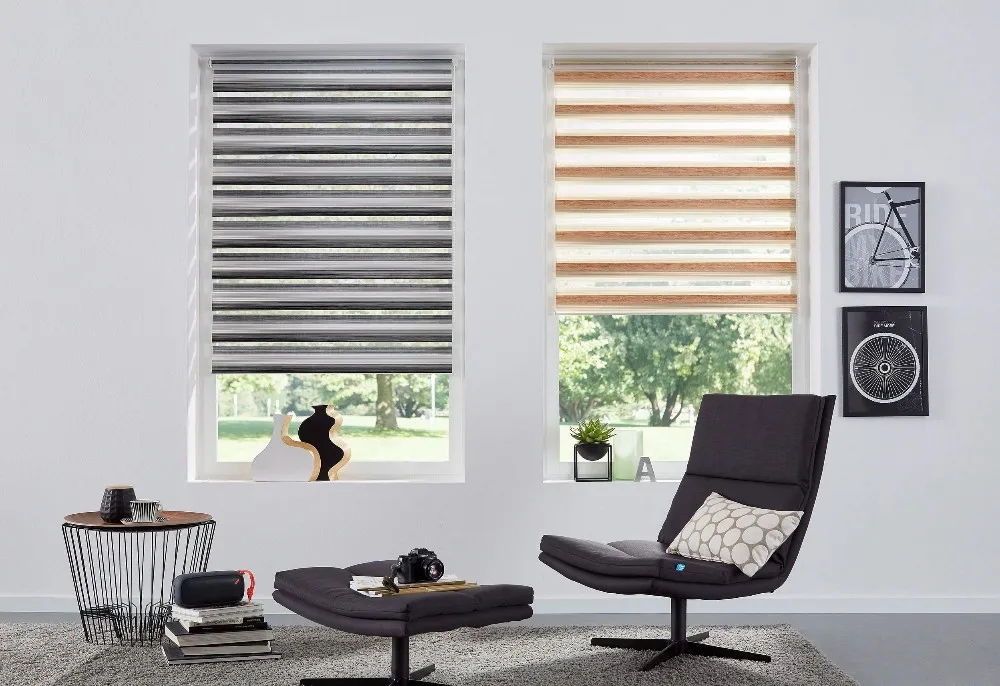 Verschiedene Arten Horizontale Jalousien Tag Nacht Zebra Blind Von Der