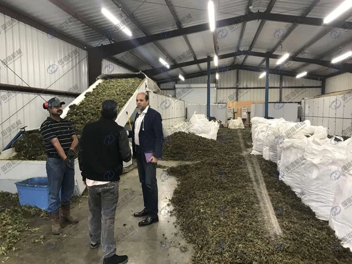 cbd oil hemp dryer .jpg