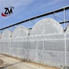Quality assurance multi tunnel small garden greenhouse