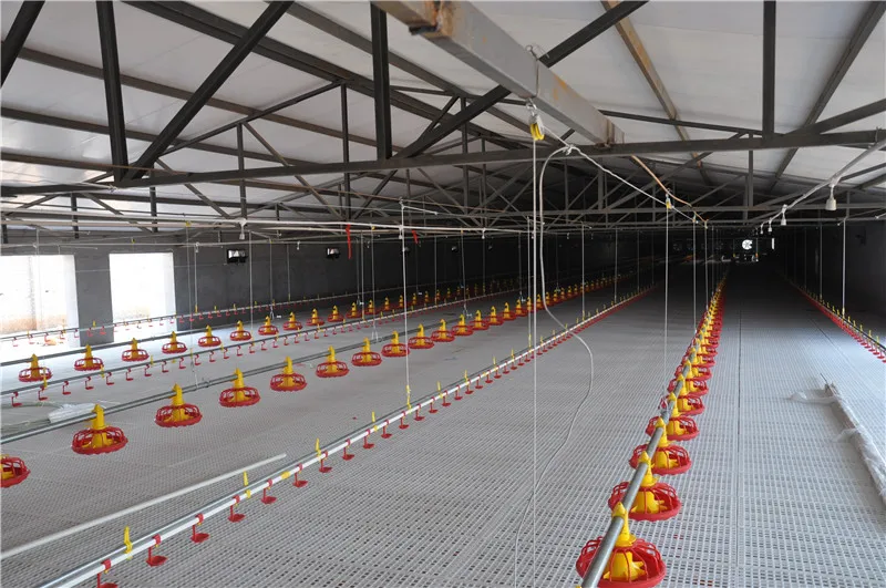 Manufacture poultry house chicken slat flooring,chicken slat floor for