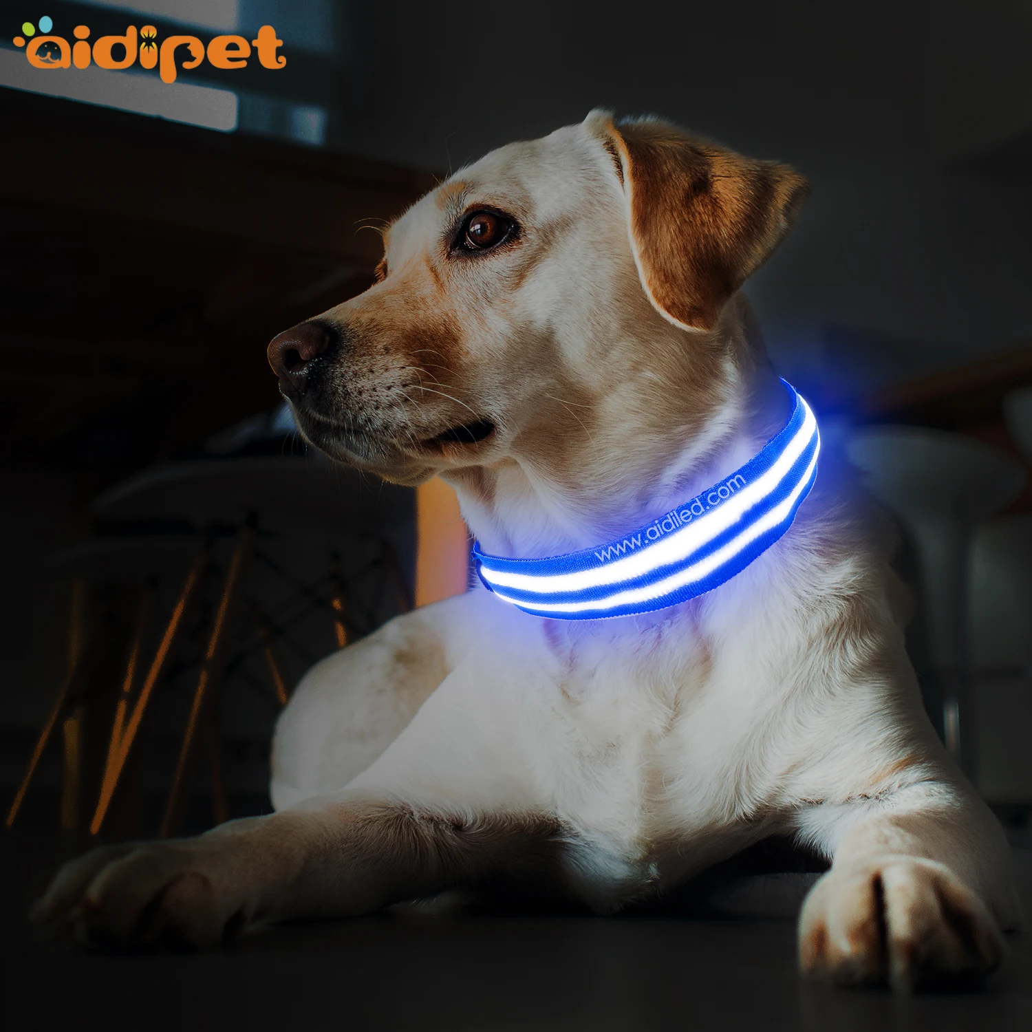 product-Wholesale Custom Led Portable Fashionable Dog Collar for Pet Dogs-AIDI-img-1