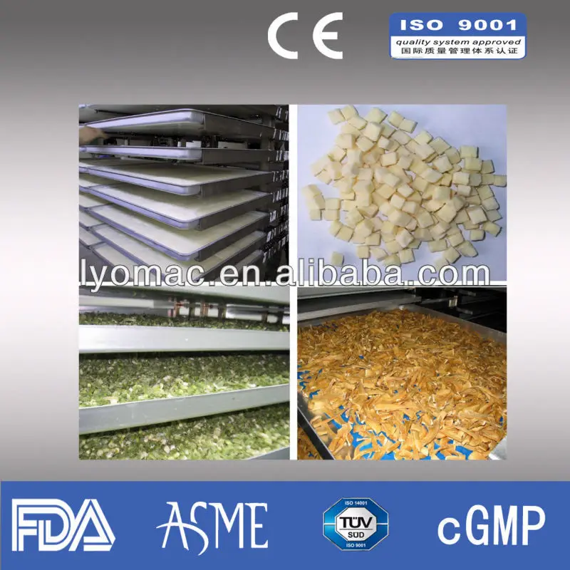 
vegetable drying machine/freeze dried mushroom/freeze dried peas/freeze dried sweet potato/freeze dried vegetable/mushroom dryer 