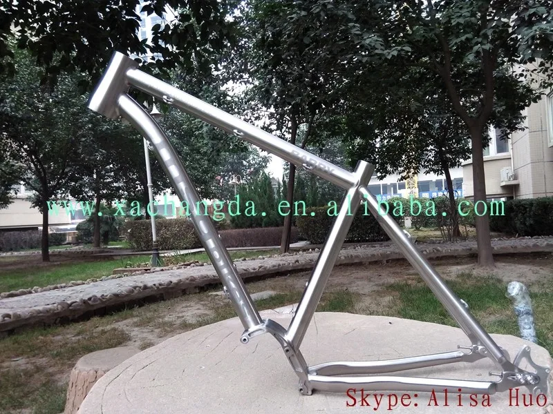 pinion titanium frame