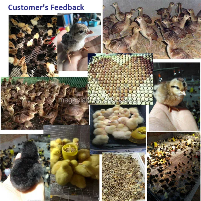 Automatic Egg Incubator Chicken Incubators Poultry Hatcher Incubators