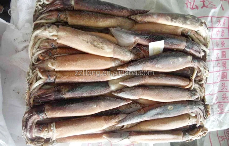 200 to 300g illex argentinua frozen squid price wholesale