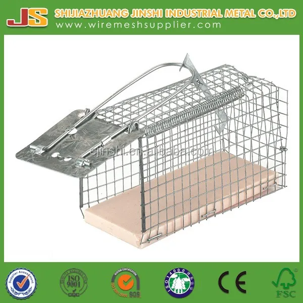 cage dimensions