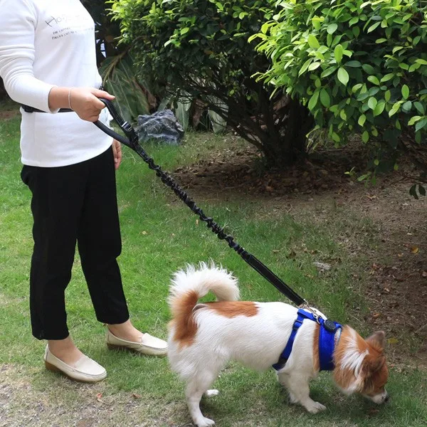 Reflective Lightweight Black Nylon Bungee Hands Free Dog Leash Belt For