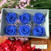 Multi-Colored Eternal Flame Rose Plant On Sale All The Year For Wreath