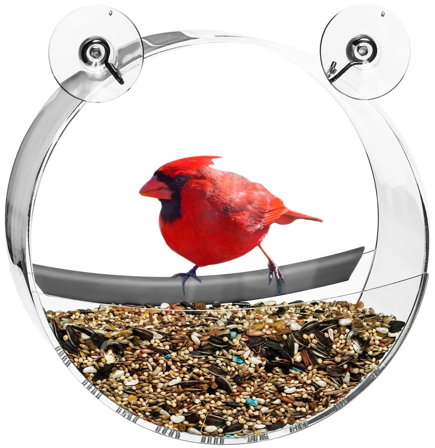 window bird feeder suction cup
