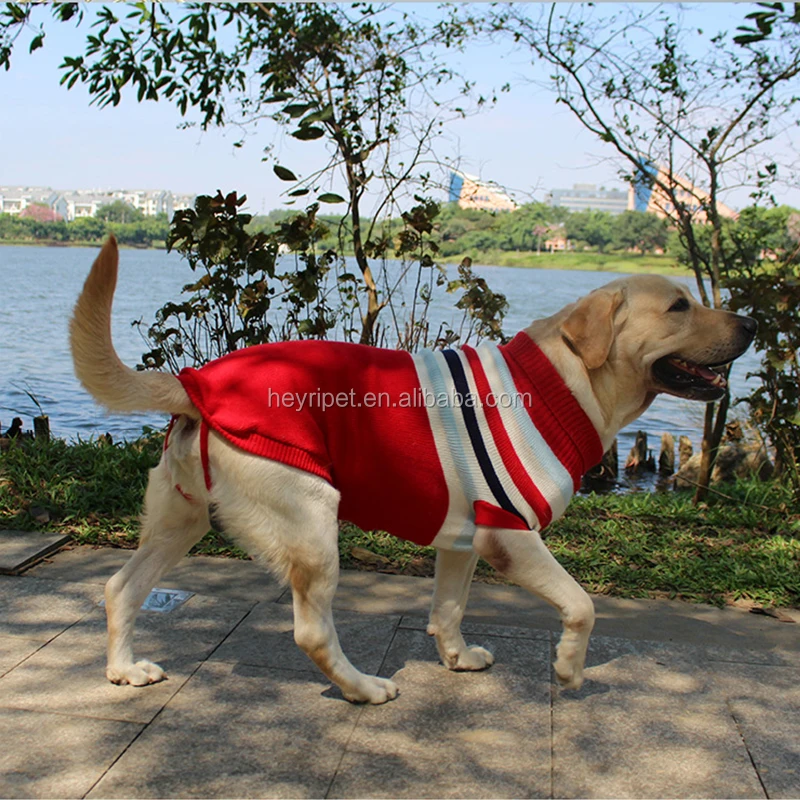 New Pet Puppy Clothes Labrador Golden Hair Knitted Sweater English Wind