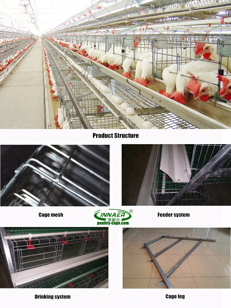 Poultry H Or A Type 3 Tier 4 Tiers Chicken Layer Battery Cage Buy Battery Cages For Layers 