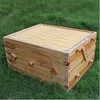 Food Grade 7 PCS BPA Free Plastic Honey Frames with Honey Comb Bee Hive Super Box