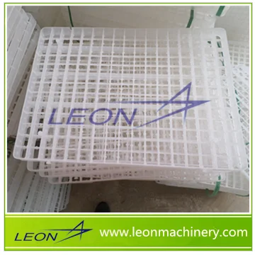 221cells egg tray.png