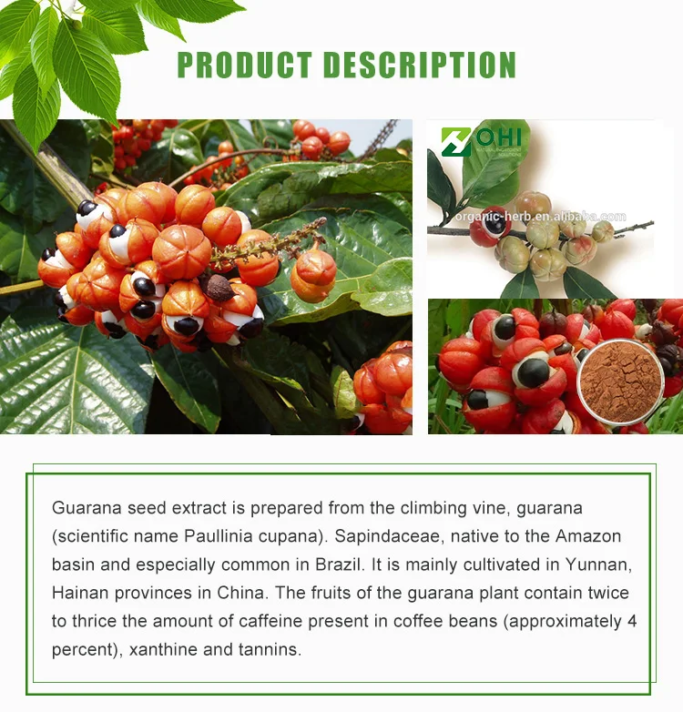 Guarana e bom para perder peso
