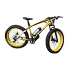 Wholesale e-bike/ebike/electric mountain bicycle